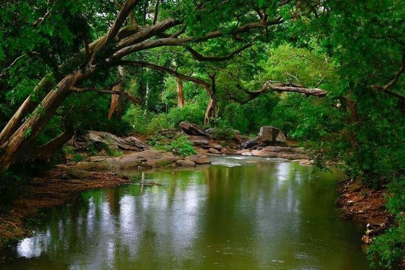 கதிர்காமம் முதன்மைப் பாலம் அருகே மாணிக்க கங்கையில் நீராடும் பக்தர்கள்