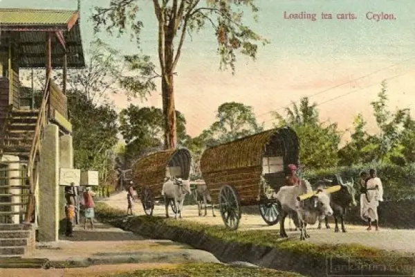 A Brief History of Colonial Era Public Transport - Part I